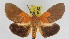  ( - ZWIER DNA 0928)  @11 [ ] CreativeCommons - Attribution Non-Commercial Share-Alike (2012) J. H. H. Zwier Unspecified