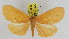 ( - ZWIER DNA 0929)  @14 [ ] CreativeCommons - Attribution Non-Commercial Share-Alike (2012) J. H. H. Zwier Unspecified