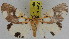  ( - ZWIER DNA 0941)  @14 [ ] CreativeCommons - Attribution Non-Commercial Share-Alike (2012) J. H. H. Zwier Unspecified