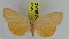  ( - ZWIER DNA 0945)  @11 [ ] CreativeCommons - Attribution Non-Commercial Share-Alike (2012) J. H. H. Zwier Unspecified