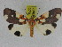  ( - ZWIER DNA 0973)  @14 [ ] CreativeCommons - Attribution Non-Commercial Share-Alike (2012) J. H. H. Zwier Unspecified