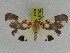  ( - ZWIER DNA 0974)  @14 [ ] CreativeCommons - Attribution Non-Commercial Share-Alike (2012) J. H. H. Zwier Unspecified