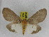  ( - ZWIER DNA 0988)  @12 [ ] CreativeCommons - Attribution Non-Commercial Share-Alike (2012) J. H. H. Zwier Unspecified