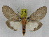  ( - ZWIER DNA 0992)  @14 [ ] CreativeCommons - Attribution Non-Commercial Share-Alike (2012) J. H. H. Zwier Unspecified