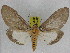  ( - ZWIER DNA 0995)  @14 [ ] CreativeCommons - Attribution Non-Commercial Share-Alike (2012) J. H. H. Zwier Unspecified