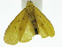  ( - ZWIER DNA 0004)  @12 [ ] Copyright (2010) Unspecified Research Collection of Jaap Zwier