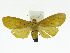  ( - ZWIER DNA 0007)  @14 [ ] Copyright (2010) Unspecified Research Collection of Jaap Zwier