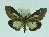  ( - ZWIER DNA 0023)  @13 [ ] Copyright (2010) Unspecified Research Collection of Jaap Zwier