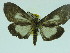  ( - ZWIER DNA 0030)  @13 [ ] Copyright (2010) Unspecified Research Collection of Jaap Zwier