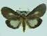  ( - ZWIER DNA 0036)  @12 [ ] Copyright (2010) Unspecified Research Collection of Jaap Zwier