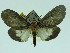  ( - ZWIER DNA 0045)  @12 [ ] Copyright (2010) Unspecified Research Collection of Jaap Zwier