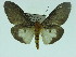  ( - ZWIER DNA 0047)  @12 [ ] Copyright (2010) Unspecified Research Collection of Jaap Zwier