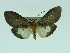  ( - ZWIER DNA 0048)  @12 [ ] Copyright (2010) Unspecified Research Collection of Jaap Zwier