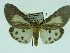  ( - ZWIER DNA 0053)  @13 [ ] Copyright (2010) Unspecified Research Collection of Jaap Zwier