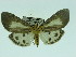  ( - ZWIER DNA 0054)  @13 [ ] Copyright (2010) Unspecified Research Collection of Jaap Zwier