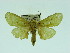  ( - ZWIER DNA 0059)  @13 [ ] Copyright (2010) Unspecified Research Collection of Jaap Zwier