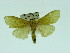  ( - ZWIER DNA 0060)  @12 [ ] Copyright (2010) Unspecified Research Collection of Jaap Zwier
