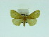  ( - ZWIER DNA 0061)  @13 [ ] Copyright (2010) Unspecified Research Collection of Jaap Zwier