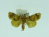  ( - ZWIER DNA 0062)  @13 [ ] Copyright (2010) Unspecified Research Collection of Jaap Zwier