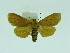  ( - ZWIER DNA 0063)  @13 [ ] Copyright (2010) Unspecified Research Collection of Jaap Zwier
