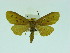  ( - ZWIER DNA 0064)  @13 [ ] Copyright (2010) Unspecified Research Collection of Jaap Zwier