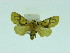  ( - ZWIER DNA 0065)  @14 [ ] Copyright (2010) Unspecified Research Collection of Jaap Zwier