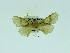  ( - ZWIER DNA 0066)  @13 [ ] Copyright (2010) Unspecified Research Collection of Jaap Zwier