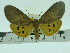  ( - ZWIER DNA 0073)  @13 [ ] Copyright (2010) Unspecified Research Collection of Jaap Zwier