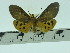  ( - ZWIER DNA 0074)  @13 [ ] Copyright (2010) Unspecified Research Collection of Jaap Zwier