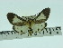  ( - ZWIER DNA 0078)  @13 [ ] Copyright (2010) Unspecified Research Collection of Jaap Zwier