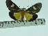  ( - ZWIER DNA 0085)  @11 [ ] Copyright (2010) Unspecified Research Collection of Jaap Zwier