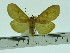  ( - ZWIER DNA 0088)  @13 [ ] Copyright (2010) Unspecified Research Collection of Jaap Zwier