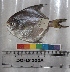  ( - ARE 129)  @14 [ ] Copyright (2015) Dr.G.D. Khedkar PAUL HEBERT CENTRE FOR DNA BARCODING AND BIODIVERSITY STUDIES
