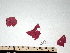  ( - GWS000501)  @11 [ ] CreativeCommons - Attribution Non-Commercial Share-Alike (2010) Unspecified University of New Brunswick
