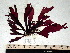  ( - GWS003963)  @11 [ ] CreativeCommons - Attribution Non-Commercial Share-Alike (2010) Unspecified University of New Brunswick