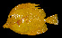  ( - AH9BN92)  @11 [ ] CreativeCommons  Attribution Non-Commercial (by-nc) (2017) Unspecified Smithsonian Institution National Museum of Natural History