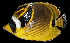  ( - AH9BO07)  @11 [ ] CreativeCommons  Attribution Non-Commercial (by-nc) (2017) Unspecified Smithsonian Institution National Museum of Natural History