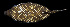  ( - AI2EN79)  @11 [ ] CreativeCommons  Attribution Non-Commercial (by-nc) (2017) Unspecified Smithsonian Institution National Museum of Natural History