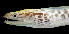  ( - KB18-027)  @11 [ ] CreativeCommons  Attribution Non-Commercial (by-nc) (2018) Unspecified Smithsonian Institution National Museum of Natural History