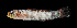  ( - KB18-035)  @11 [ ] CreativeCommons  Attribution Non-Commercial (by-nc) (2018) Unspecified Smithsonian Institution National Museum of Natural History