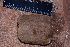  ( - MR050)  @11 [ ] CreativeCommons - Attribution Share-Alike (2019) Unspecified National Zoological Gardens of South Africa