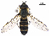  ( - OL333566)  @11 [ ] Copyright (2022) Ho-Yeon Han Division of Biological Science and Technology, Yonsei University