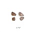  ( - KBGPB18)  @11 [ ] CreativeCommons - Attribution Non-Commercial Share-Alike (2017) Unspecified he Lepidopterists Society of Africa