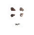  ( - KBGPB24)  @11 [ ] CreativeCommons - Attribution Non-Commercial Share-Alike (2017) Unspecified he Lepidopterists Society of Africa