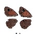  ( - KBGPB70)  @11 [ ] CreativeCommons - Attribution Non-Commercial Share-Alike (2017) Unspecified he Lepidopterists Society of Africa