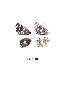 (Spialia agylla - KBGPB77)  @11 [ ] CreativeCommons - Attribution Non-Commercial Share-Alike (2017) Unspecified he Lepidopterists Society of Africa