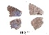  ( - KBGPB151)  @11 [ ] CreativeCommons - Attribution Non-Commercial Share-Alike (2017) Unspecified he Lepidopterists Society of Africa