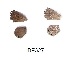  ( - KBGPB196)  @11 [ ] CreativeCommons - Attribution Non-Commercial Share-Alike (2017) Unspecified he Lepidopterists Society of Africa