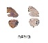  ( - KBGPB204)  @11 [ ] CreativeCommons - Attribution Non-Commercial Share-Alike (2017) Unspecified he Lepidopterists Society of Africa