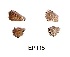  ( - KBGPB211)  @11 [ ] CreativeCommons - Attribution Non-Commercial Share-Alike (2017) Unspecified he Lepidopterists Society of Africa